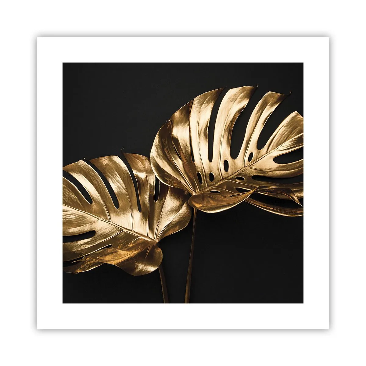 Plakat - Naturens skatte - 40x40 cm