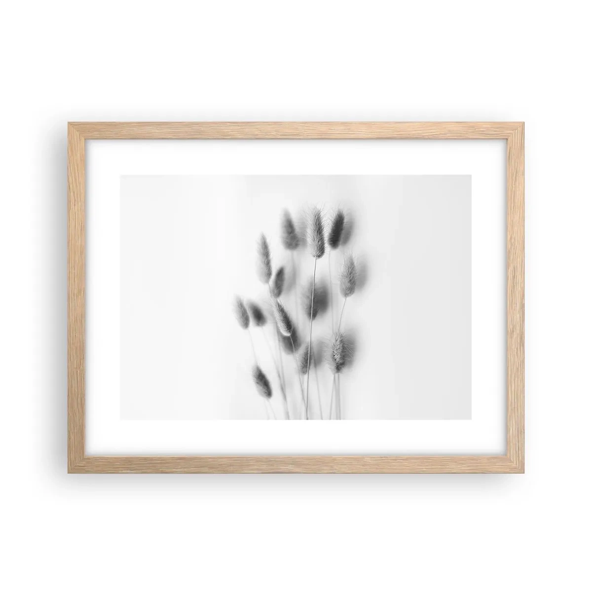 Plakat i ramme af lyst egetræ - Dens bløde græs - 40x30 cm
