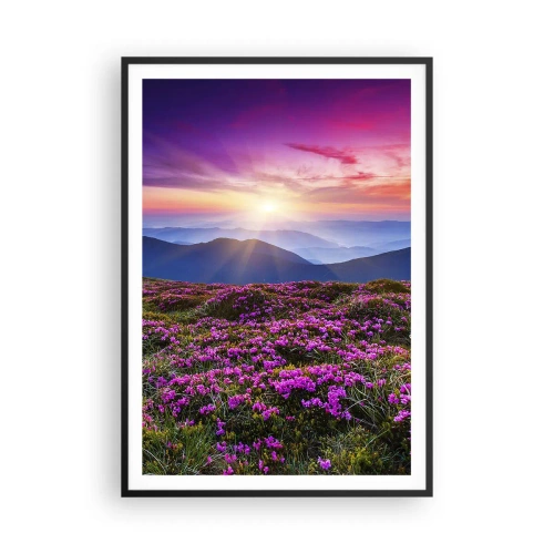 Plakat i sort ramme - Urter duftede friske bundter fra niw - 70x100 cm