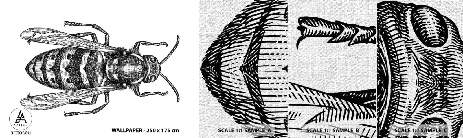 Prøve Fototapet Premium Canvas - Fra en insektplanet - Hveps, Insekt, Minimalistisk - 100x30 cm