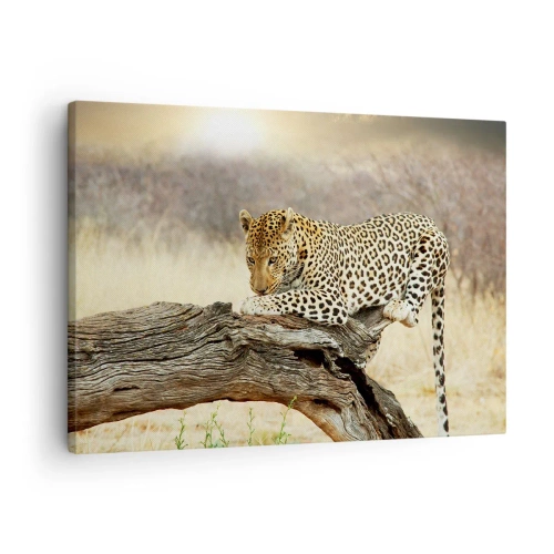 Lærredstryk - Billede på lærred - En leopard hviler på en træstamme i savannen - 70x50cm - Jeg går min egen vej - Moderne vægdekoration til stue og soveværelse ARTTOR