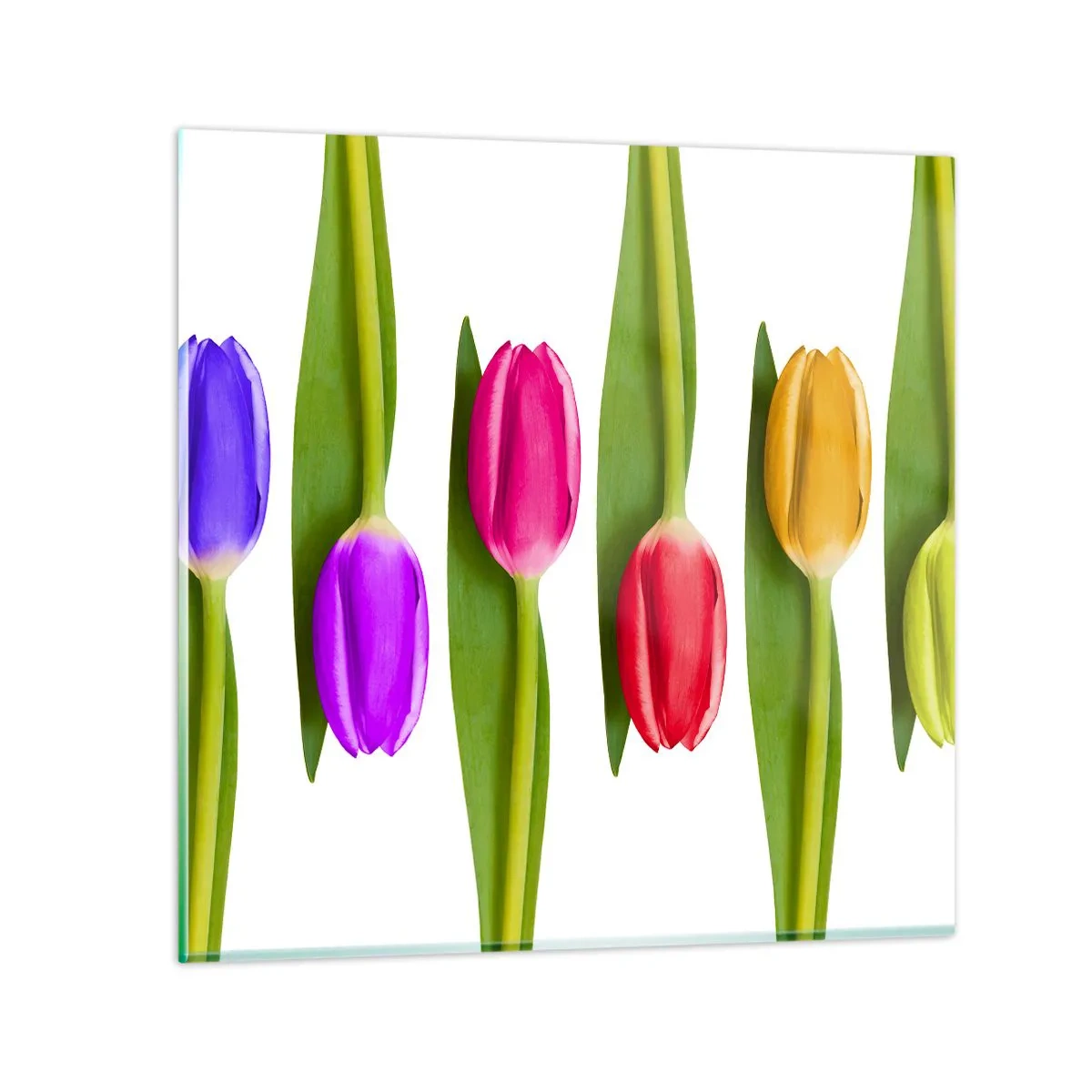 Billede på glas - Regnbuesammensætning - 50x50 cm