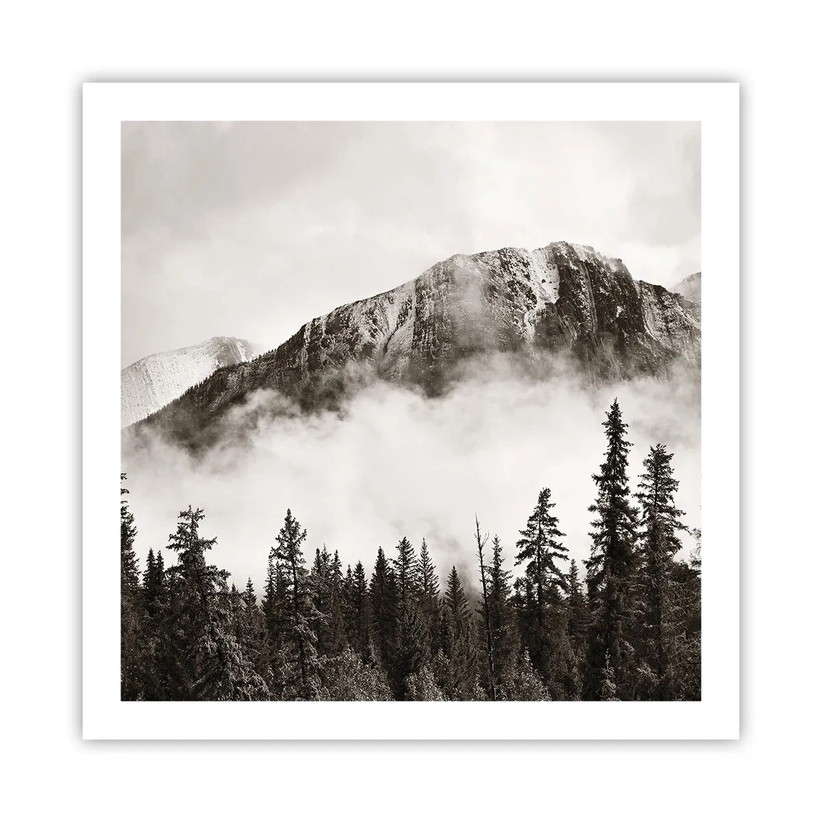 Plakat - Granit hersker - 60x60 cm