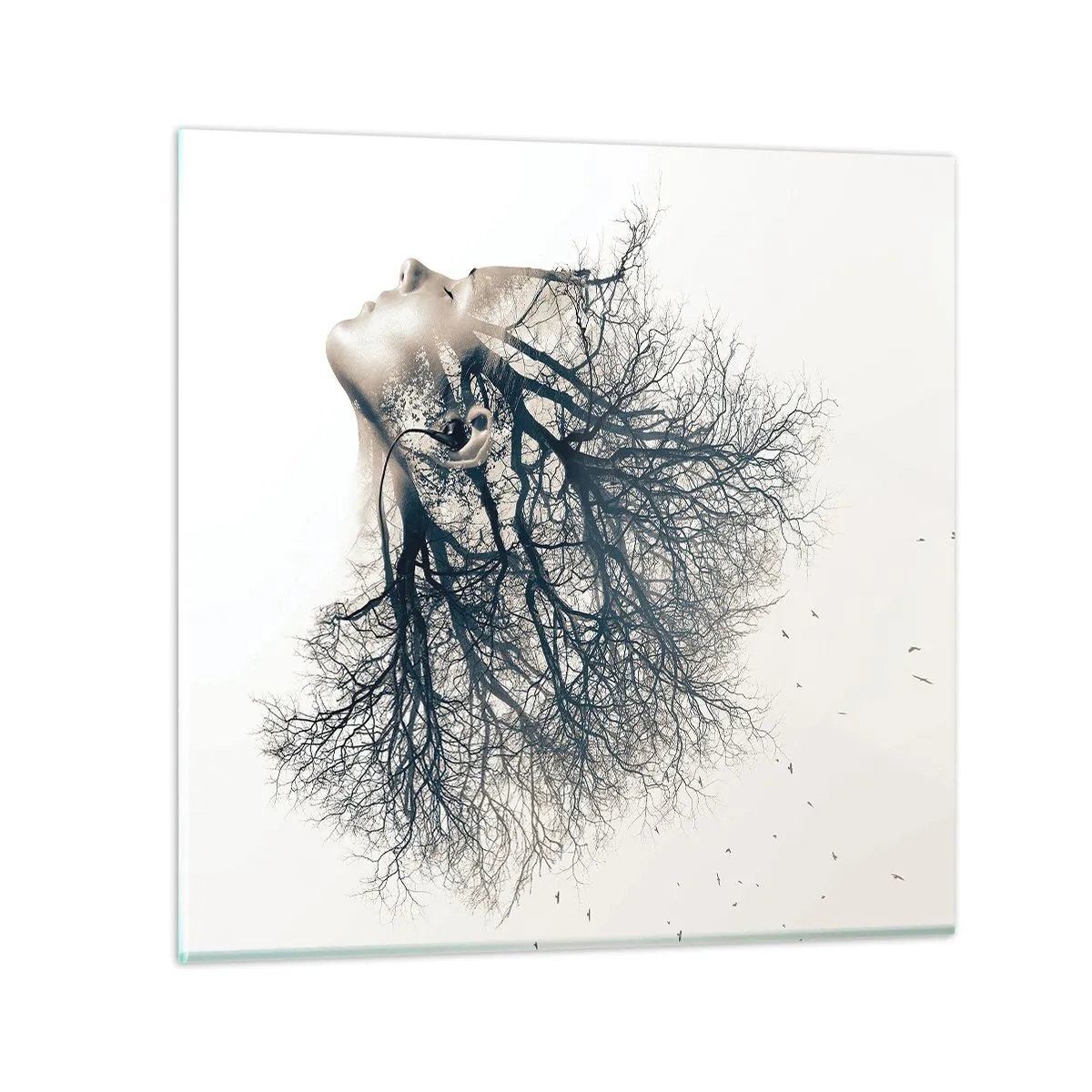 Billede på glas - Lyttede til træets hvisken - 70x70 cm