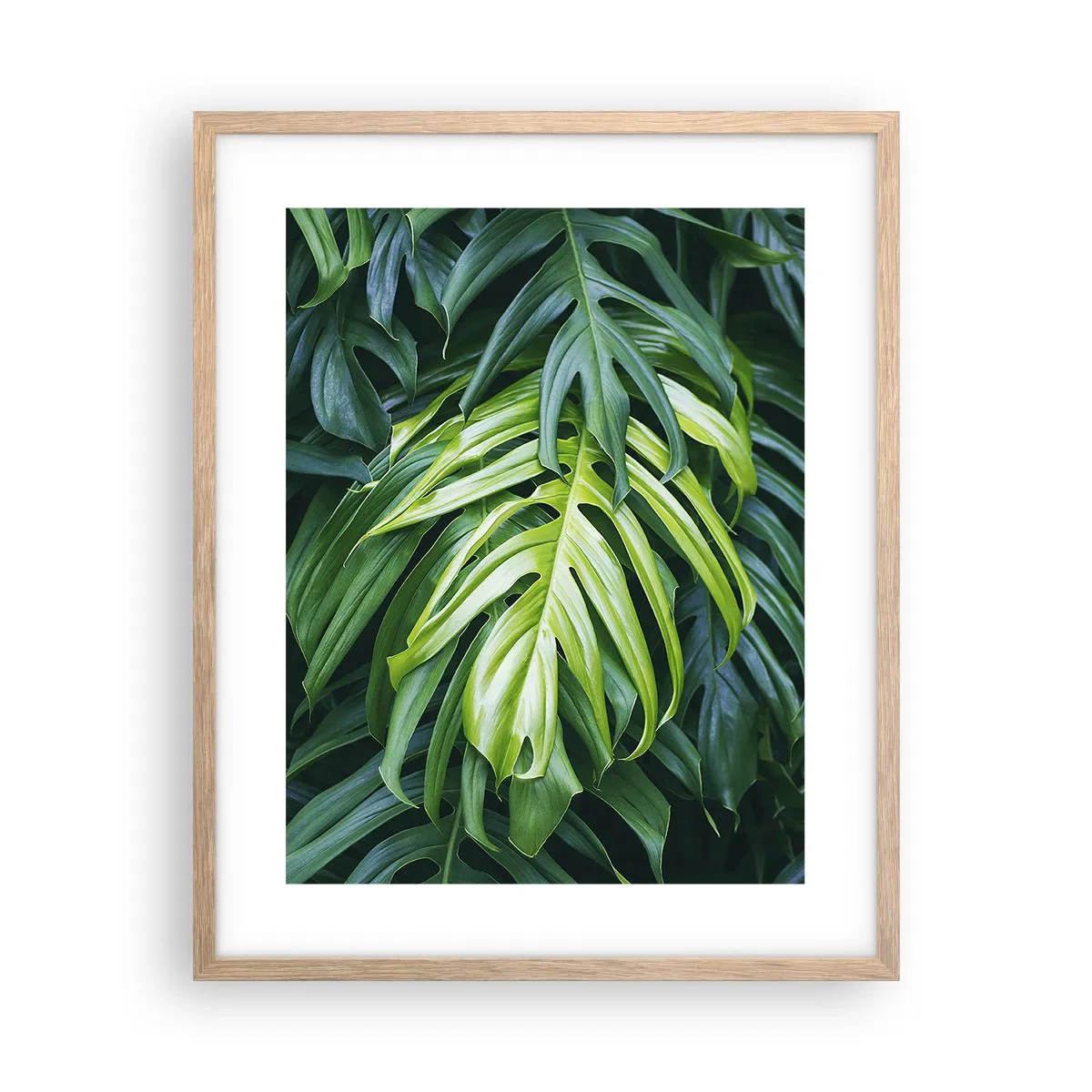 Plakat i ramme af lyst egetræ - Fordyb dig i friskhed - 40x50 cm