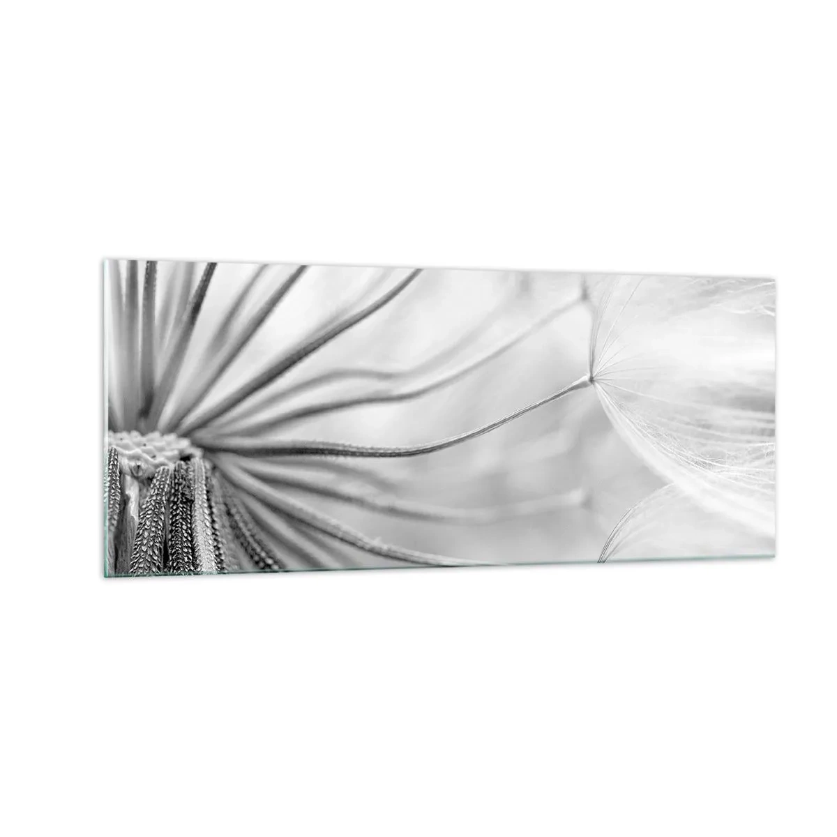 Billede på glas - Blæsende drager - 100x40 cm