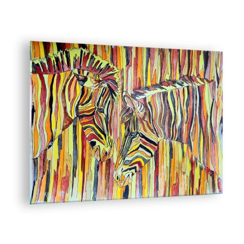 Billede på glas - Farverige zebraer i kunstnerisk akvarelstil - 70x50cm - Så du også... - Moderne vægdekoration til stue og soveværelse ARTTOR