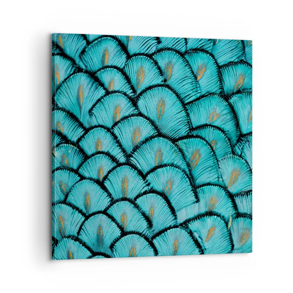 Lærredstryk - Billede på lærred - Den store fjer-galla - 60x60 cm