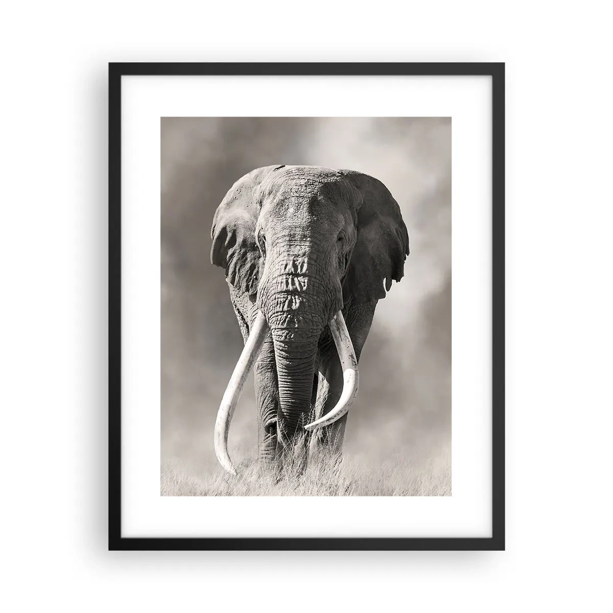Plakat i sort ramme - Afrikansk patriark - 40x50 cm