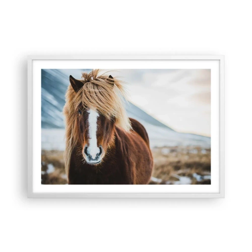 Plakat i hvid ramme - Kan du mærke friheden? - 70x50 cm
