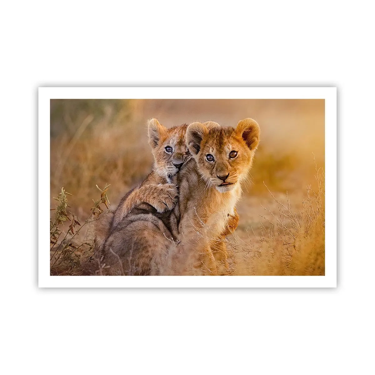 Plakat - Forstyr ikke! Vi har det sjovt - 91x61 cm