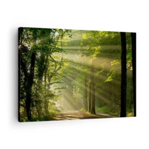 Lærredstryk - Billede på lærred - Skovsti med solstråler, der skinner gennem træerne - 70x50cm - Øjeblik i skoven - Moderne vægdekoration til stue og soveværelse ARTTOR