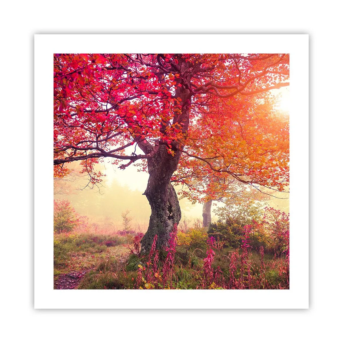 Plakat - Et væld af blomstring - 50x50 cm