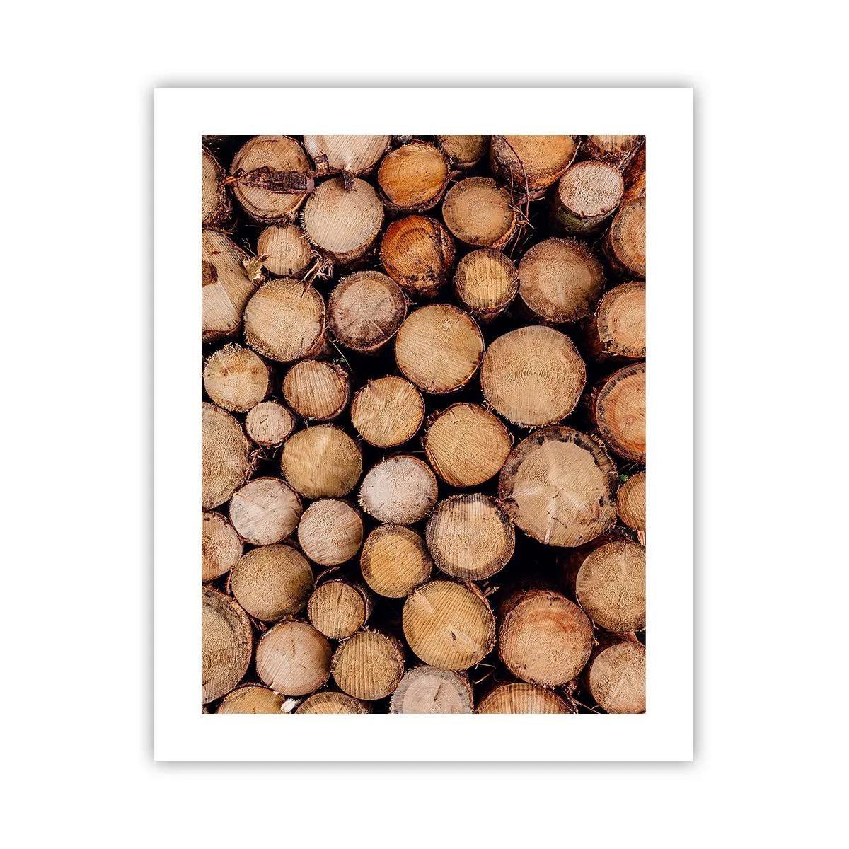 Plakat - En ny begyndelse - 40x50 cm