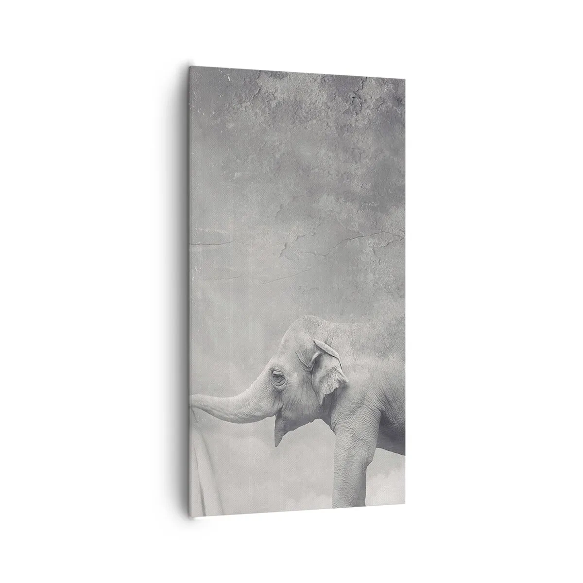 Lærredstryk - Billede på lærred - Afslør hemmeligheden - 65x120 cm