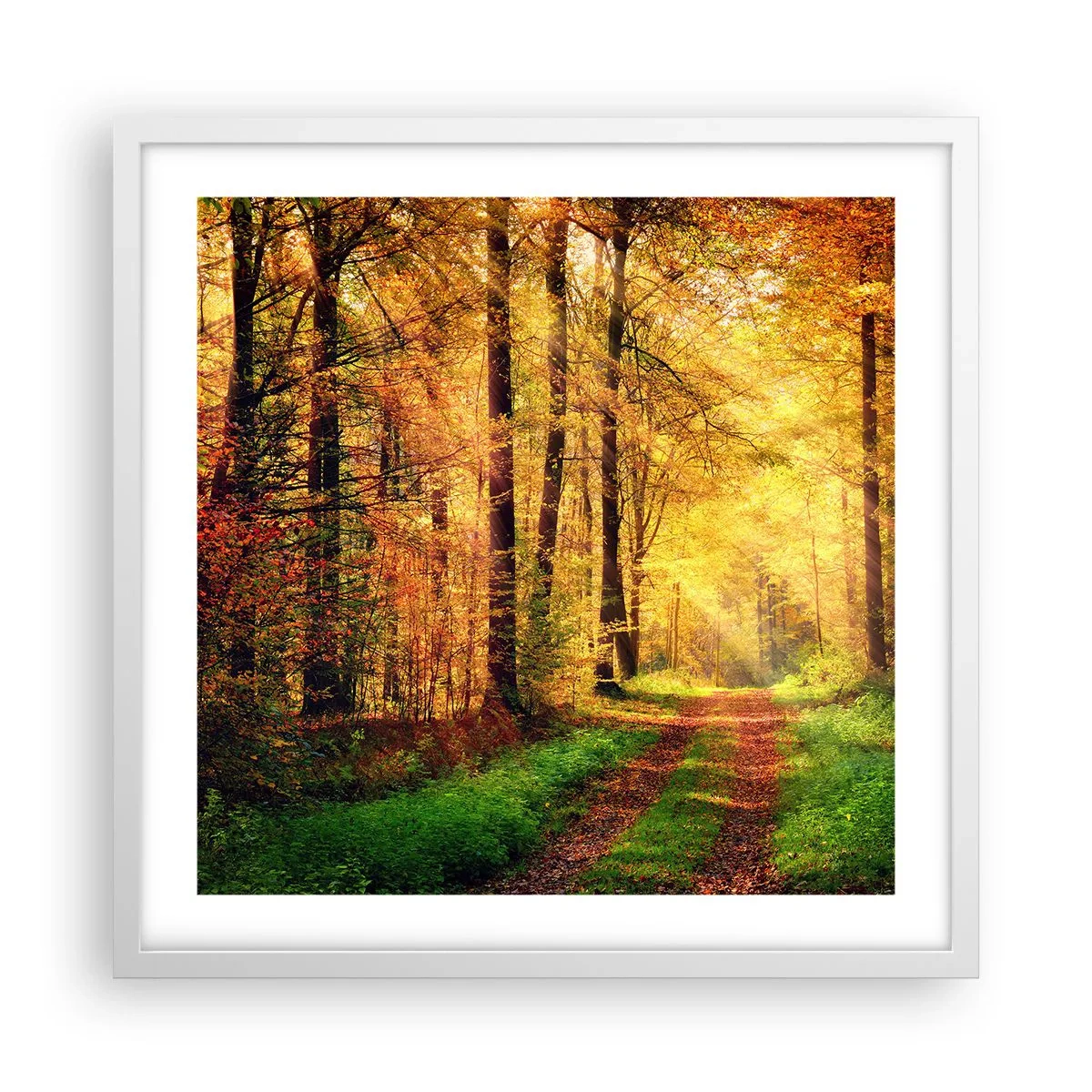 Plakat i hvid ramme - Skovgylden stilhed - 50x50 cm