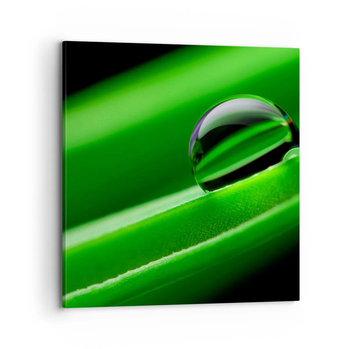Lærredstryk - Billede på lærred - Livet på tæt hold - 70x70 cm