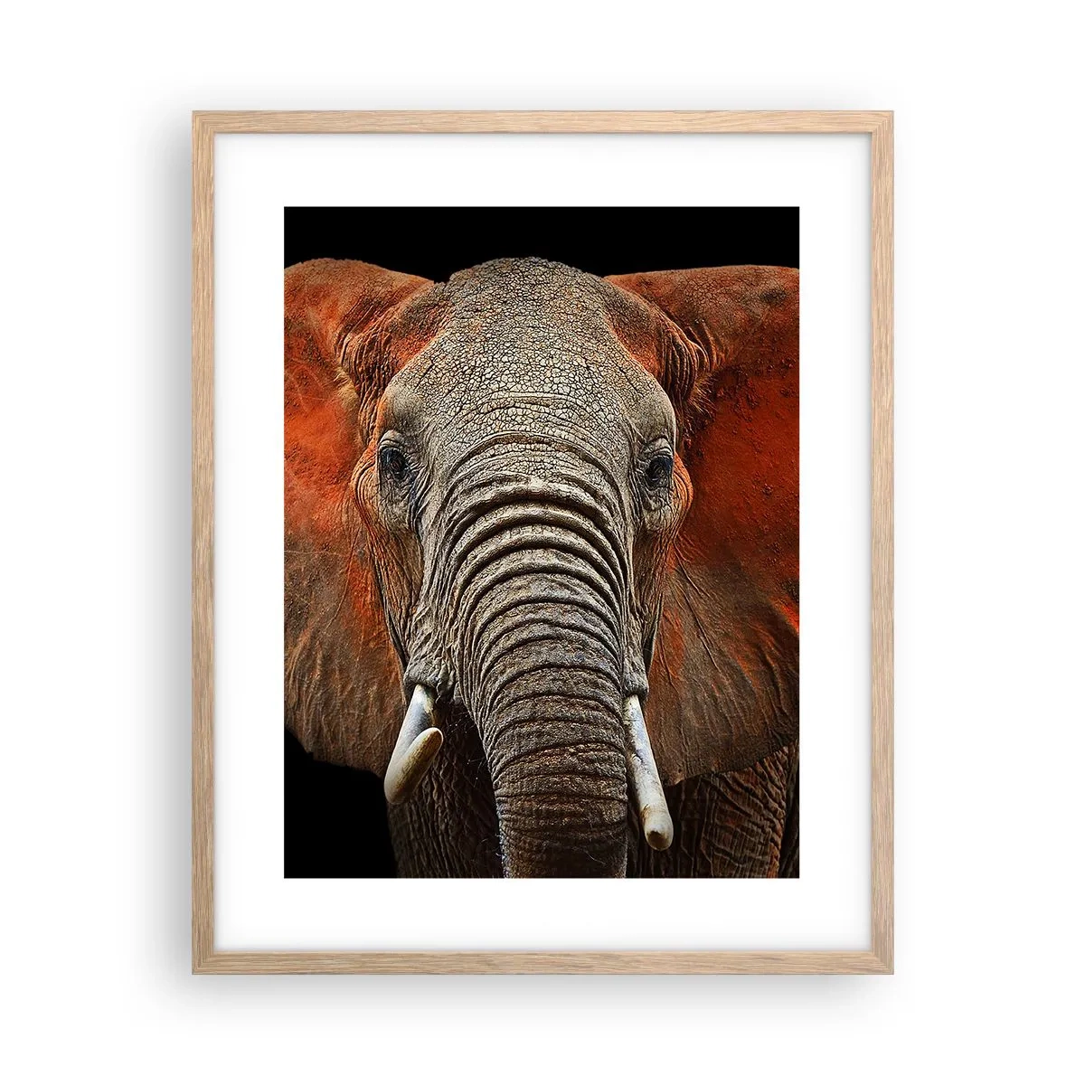 Plakat i ramme af lyst egetræ - Jeg er vild, er du? - 40x50 cm