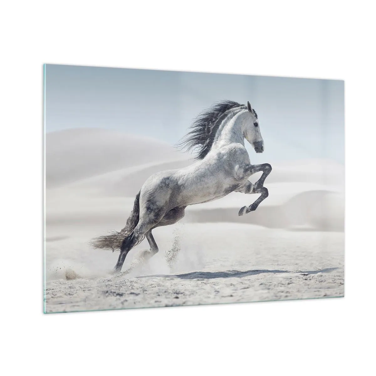 Billede på glas - Arabisk prins - 100x70 cm