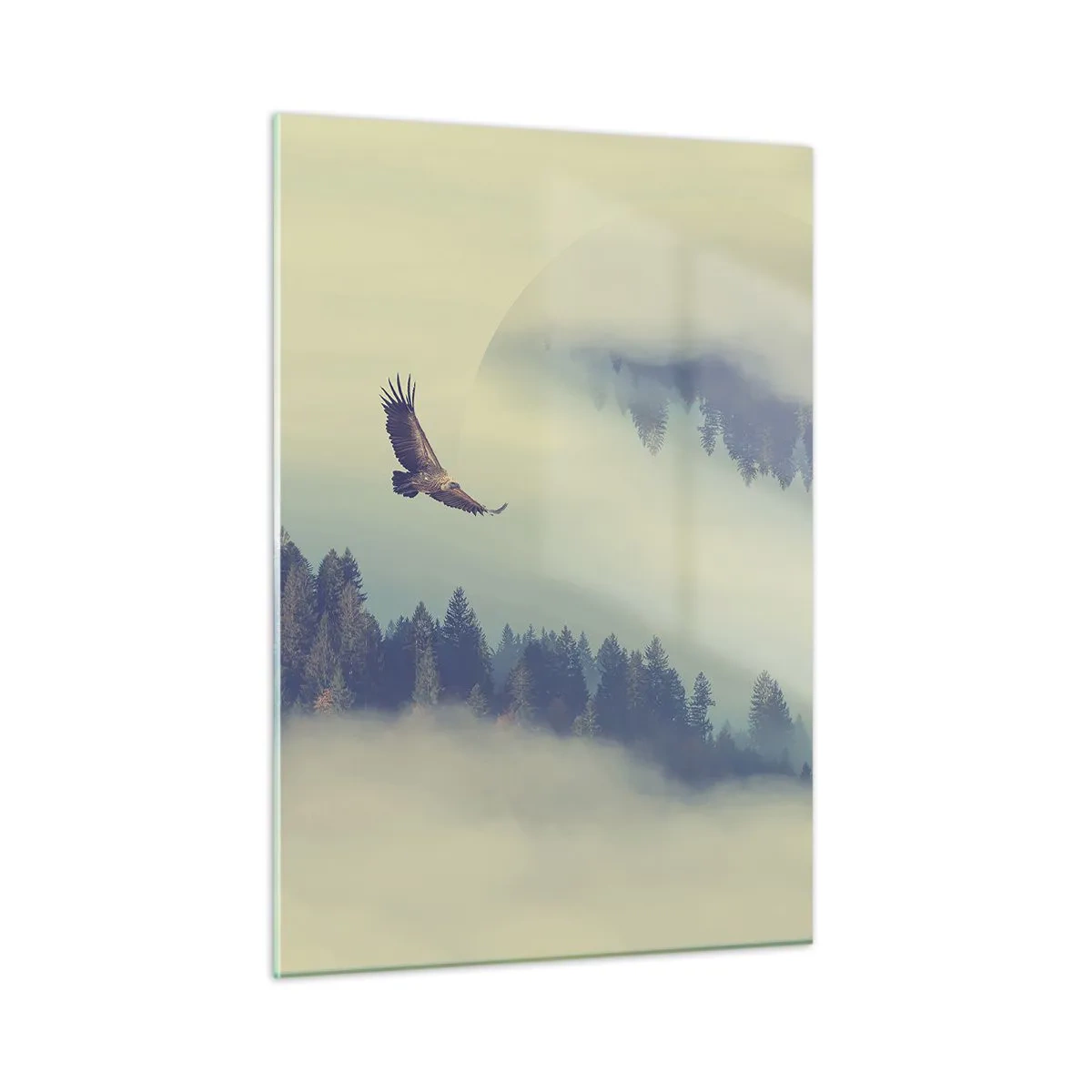 Billede på glas - Jeg så en ørnes skygge - 50x70 cm