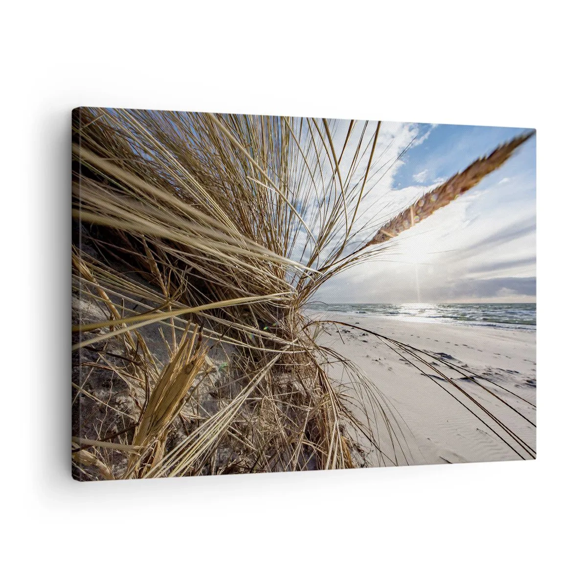 Lærredstryk - Billede på lærred - En strand med tørt græs i klitterne og udsigt over havet - 70x50cm - Et møde mellem elementerne - Moderne vægdekoration til stue og soveværelse ARTTOR