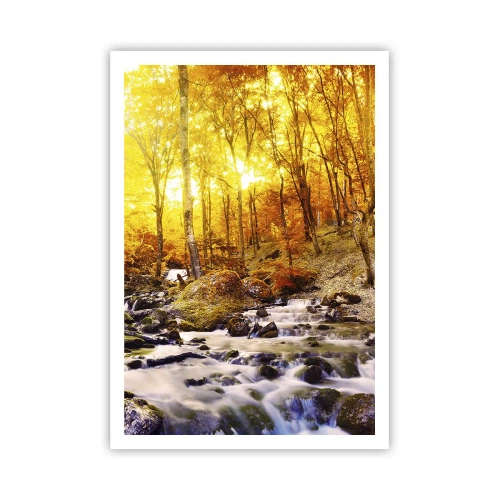 Plakat - Sten indfattet i guld og platin - 70x100 cm