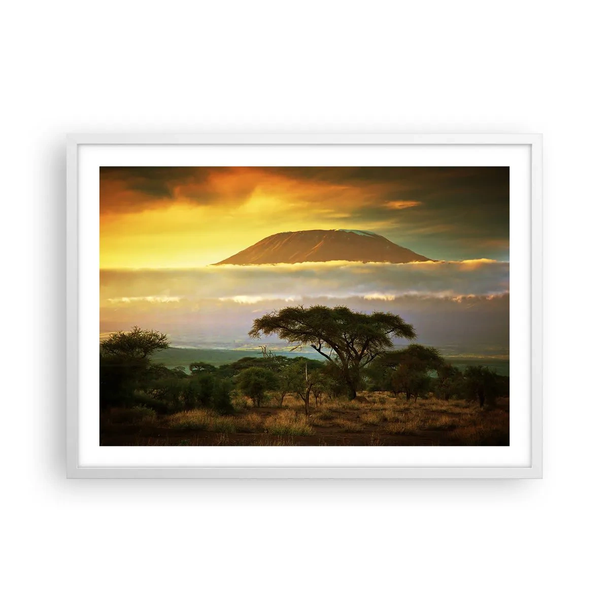 Plakat i hvid ramme - En rejsendes drøm - 70x50 cm
