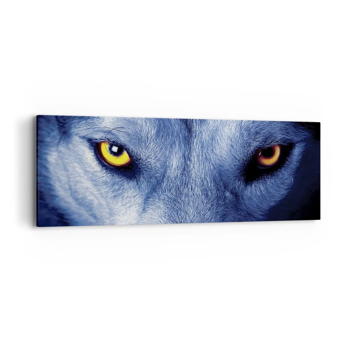 Lærredstryk - Billede på lærred - Et hypnotiserende udseende - 90x30 cm