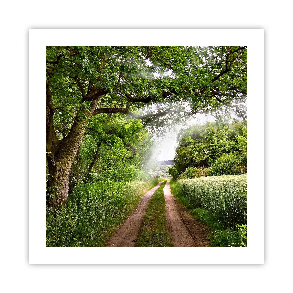 Plakat - Et in Arcadia ego - 50x50 cm