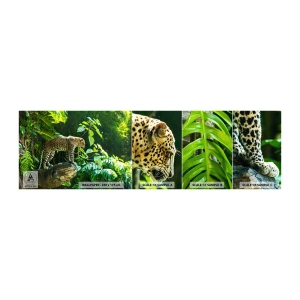Prøve Fototapet Selvklæbende Deluxe Sticker - Til jagt? - Jungle, leopard, Troperne - 100x30 cm