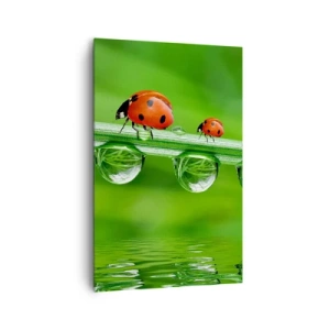 Lærredstryk - Billede på lærred - På farten hele sommeren - 80x120 cm