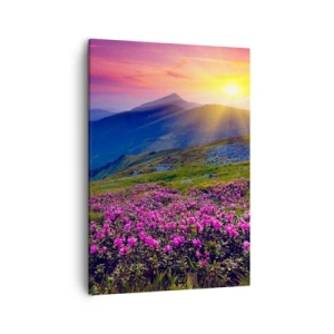 Lærredstryk - Billede på lærred - ... Og rundt omkring dufter det af fyrretræer og krydderurter - 50x70 cm
