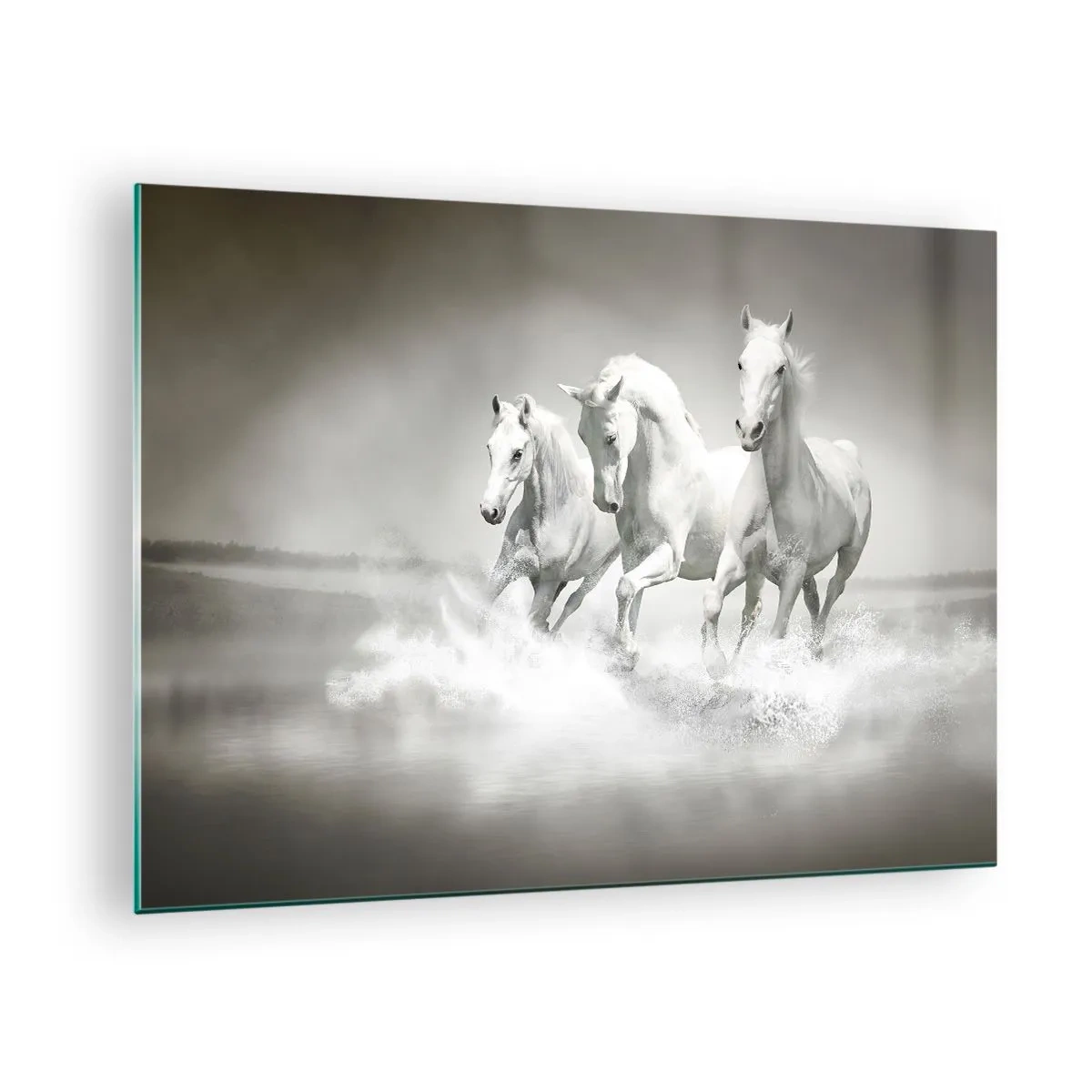 Billede på glas - Tre hvide heste galoperer gennem vandet - 70x50cm - Hvid galskab - Moderne vægdekoration til stue og soveværelse ARTTOR