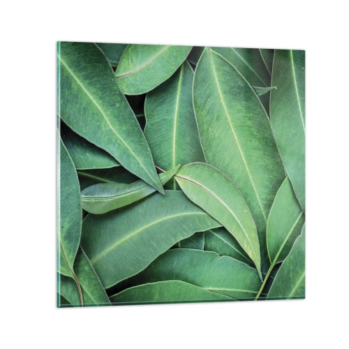 Billede på glas - Saftig og frisk - 70x70 cm