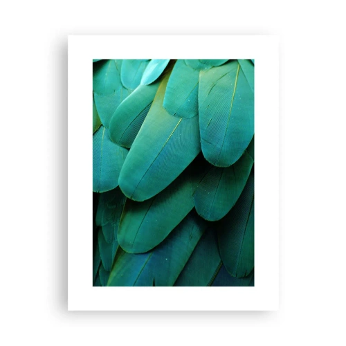 Plakat - Papegøjenaturens præcision - 30x40 cm