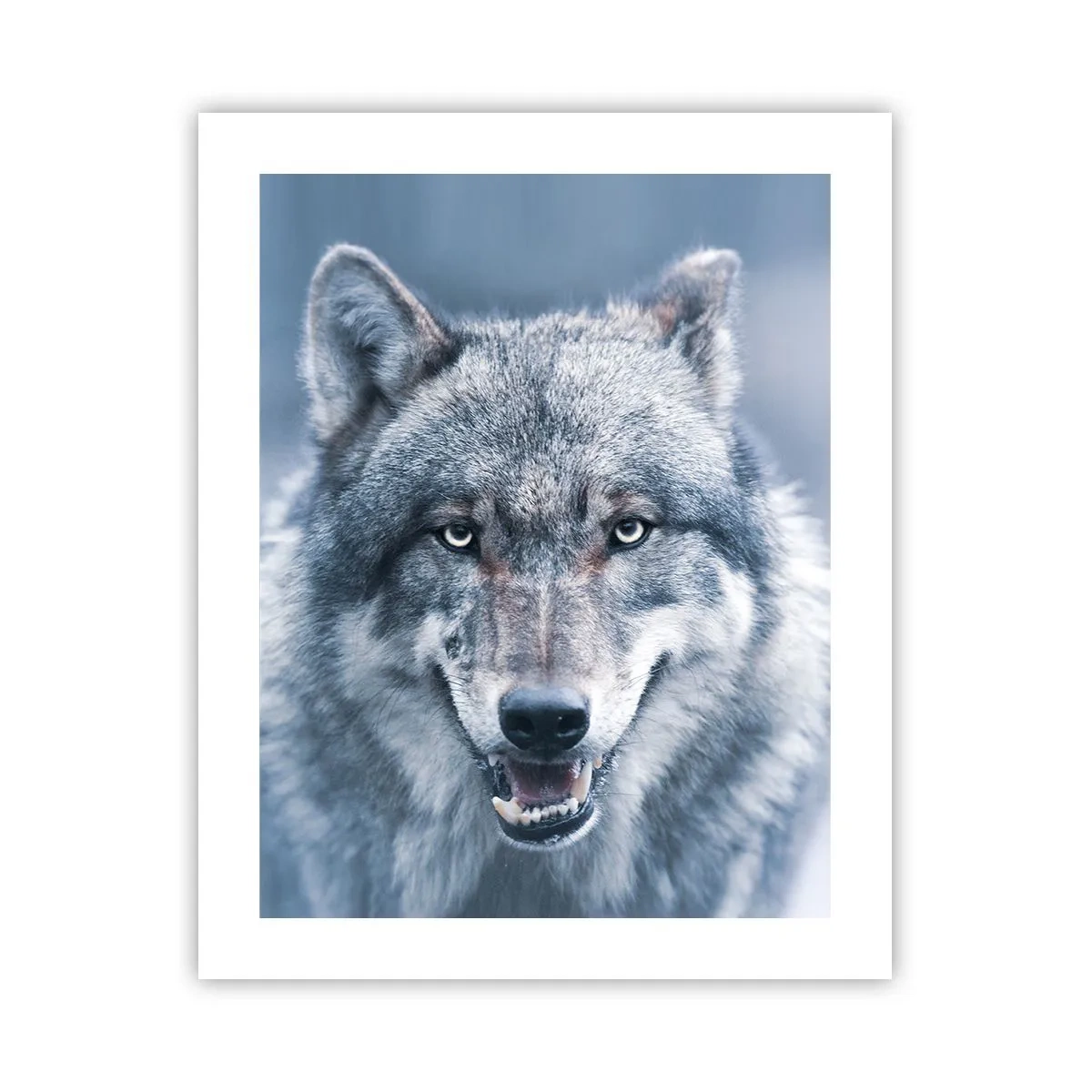 Plakat - Vil du tage udfordringen op? - 40x50 cm