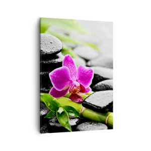 Lærredstryk - Billede på lærred - I en fredelig balance - 50x70 cm