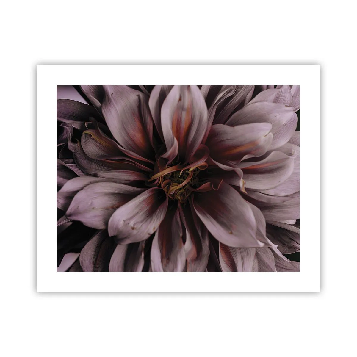 Plakat - Blomstret hjerte - 50x40 cm