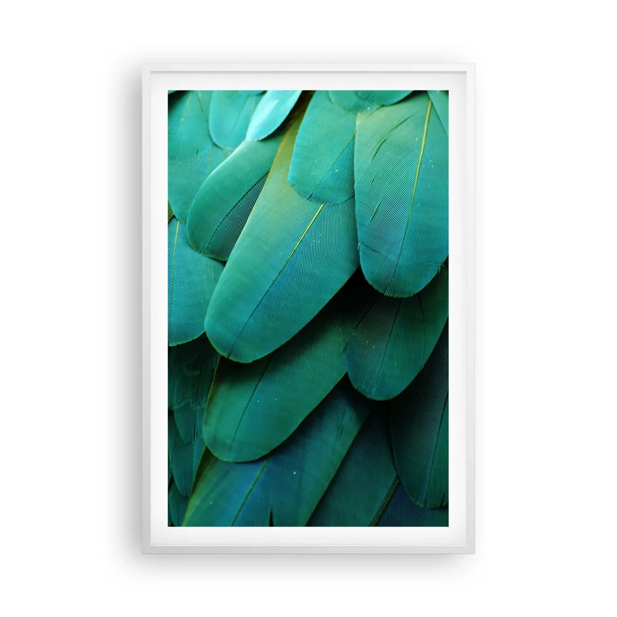 Plakat i hvid ramme - Papegøjenaturens præcision - 61x91 cm