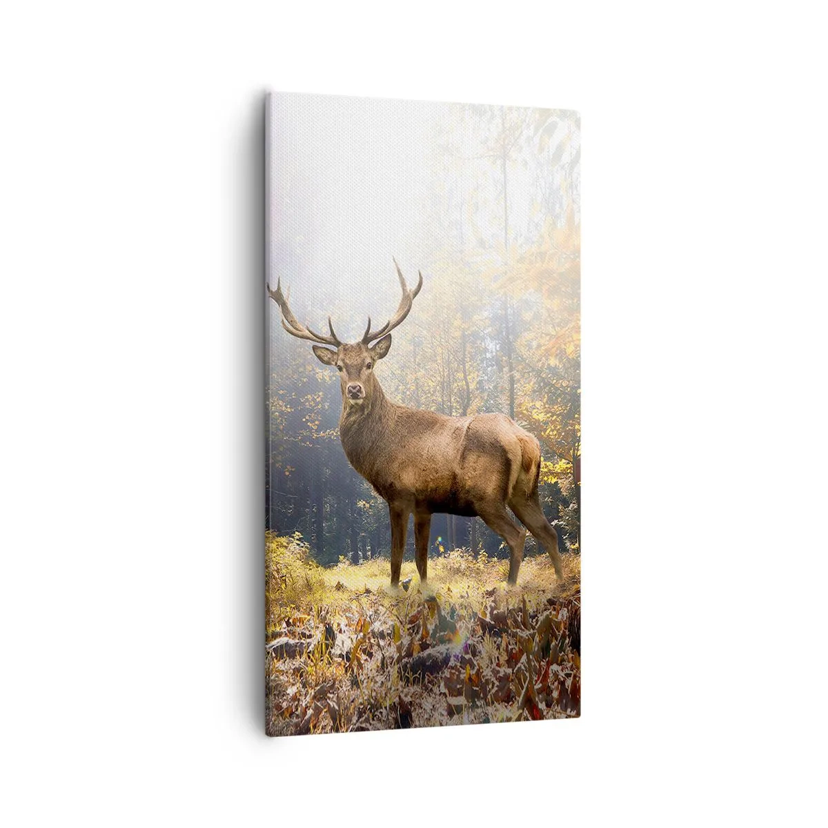 Lærredstryk - Billede på lærred - I fuld majestæt - 55x100 cm