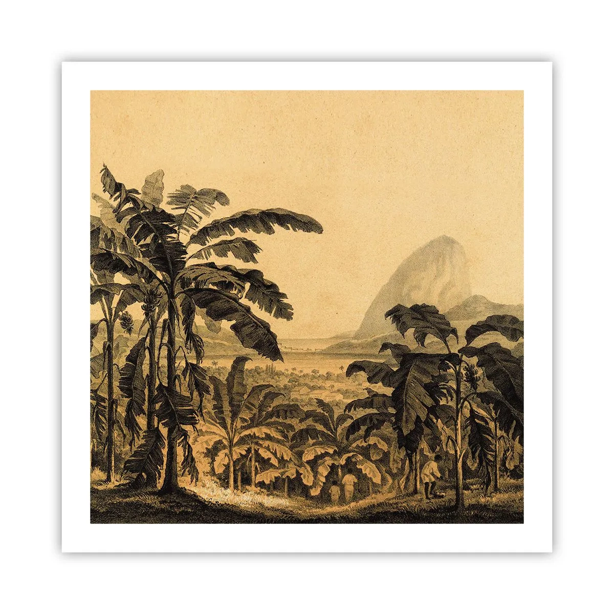 Plakat - I en kolonial atmosfære - 60x60 cm
