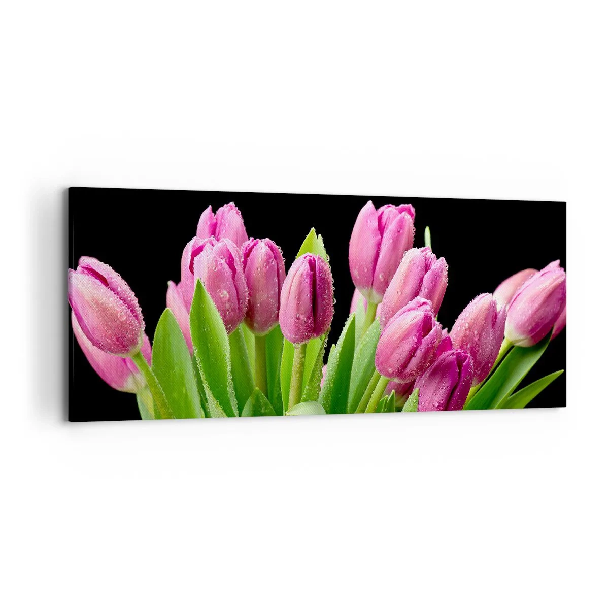 Lærredstryk - Billede på lærred - Forårets lilla glæde - 120x50 cm