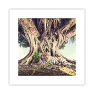 Plakat - Udsigt fra Første Mosebog - 30x30 cm