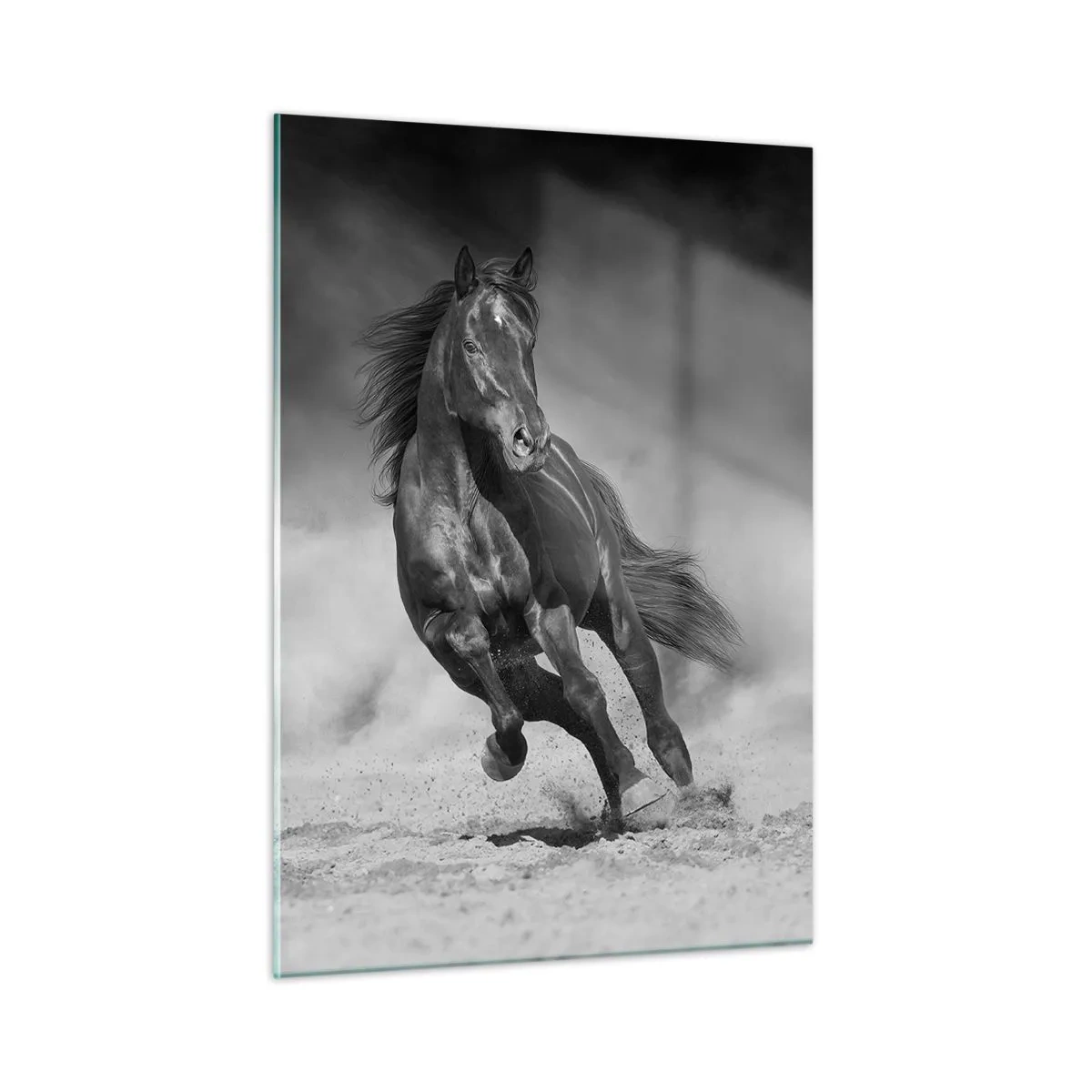 Billede på glas - Værdig til emiren selv - 50x70 cm
