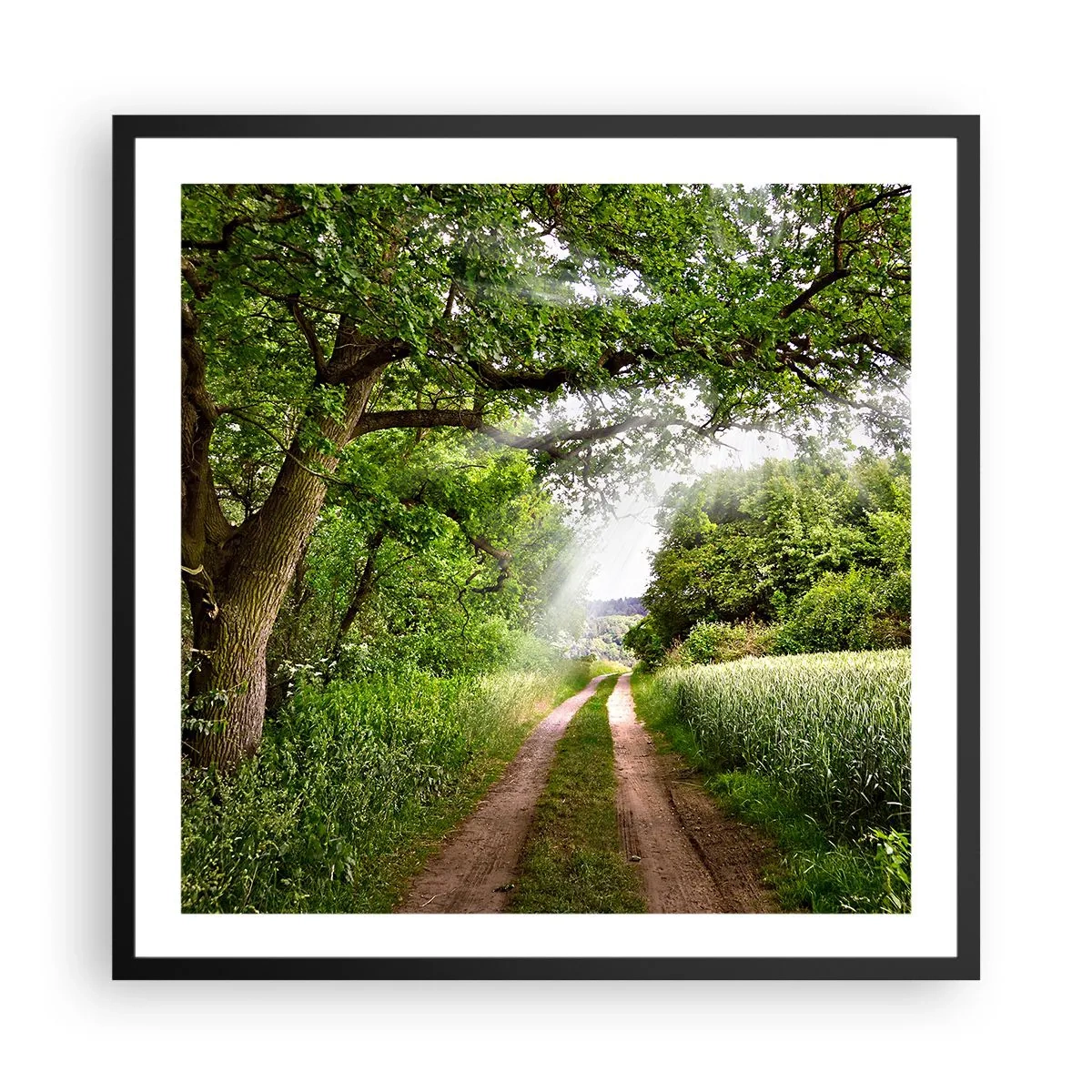 Plakat i sort ramme - Et in Arcadia ego - 60x60 cm