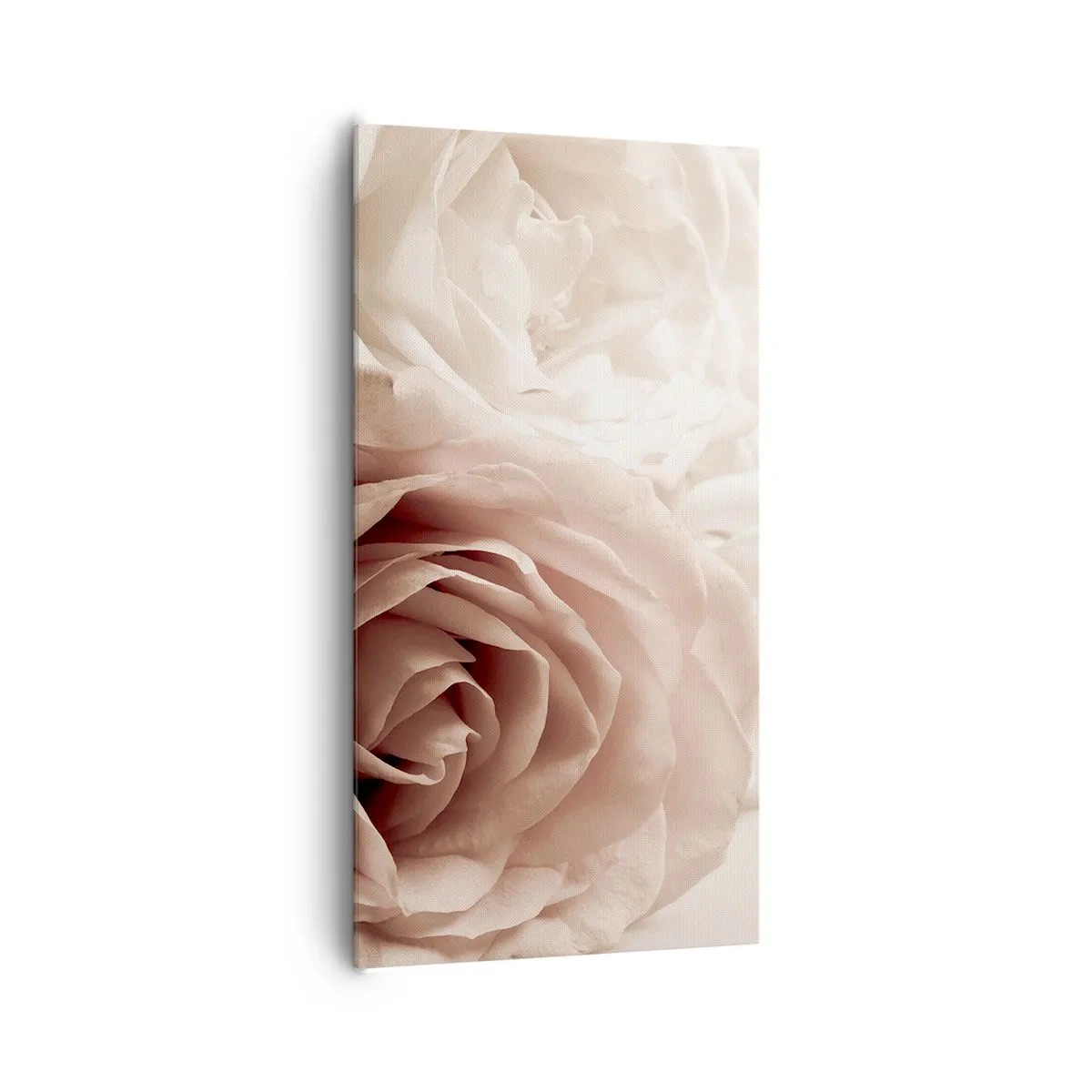 Lærredstryk - Billede på lærred - I rosens hjerte - 65x120 cm