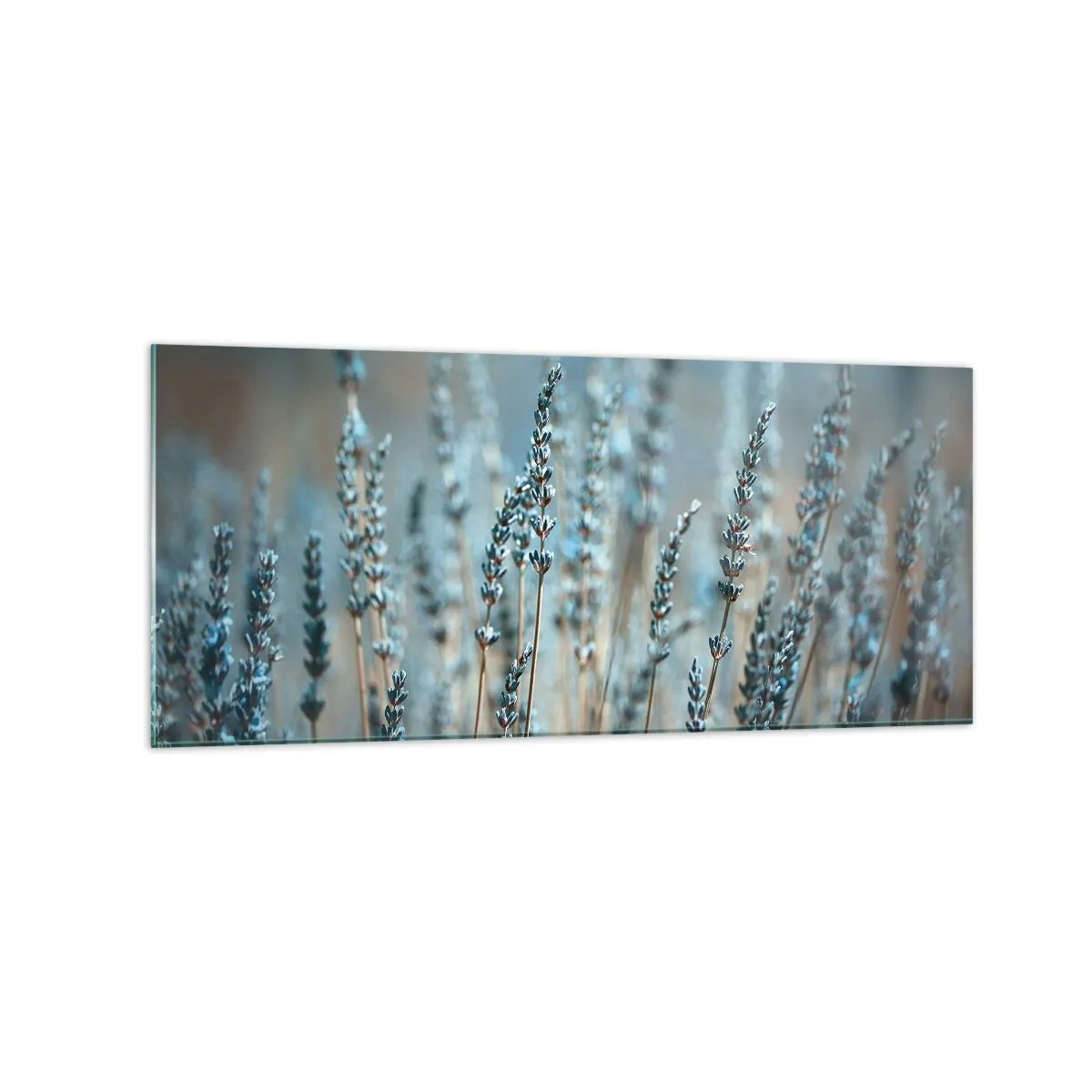 Billede på glas - Duftende plet - 120x50 cm