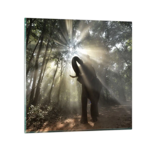 Billede på glas - Under en lykkelig stjerne - 70x70 cm