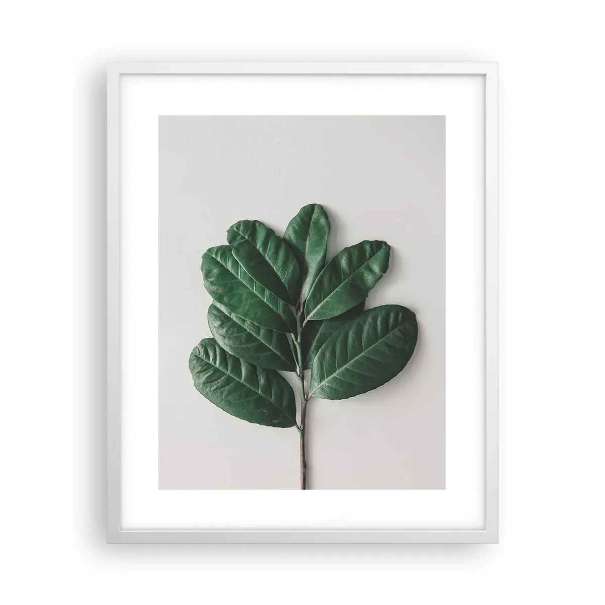 Plakat i hvid ramme - Tegning af selve naturen - 40x50 cm