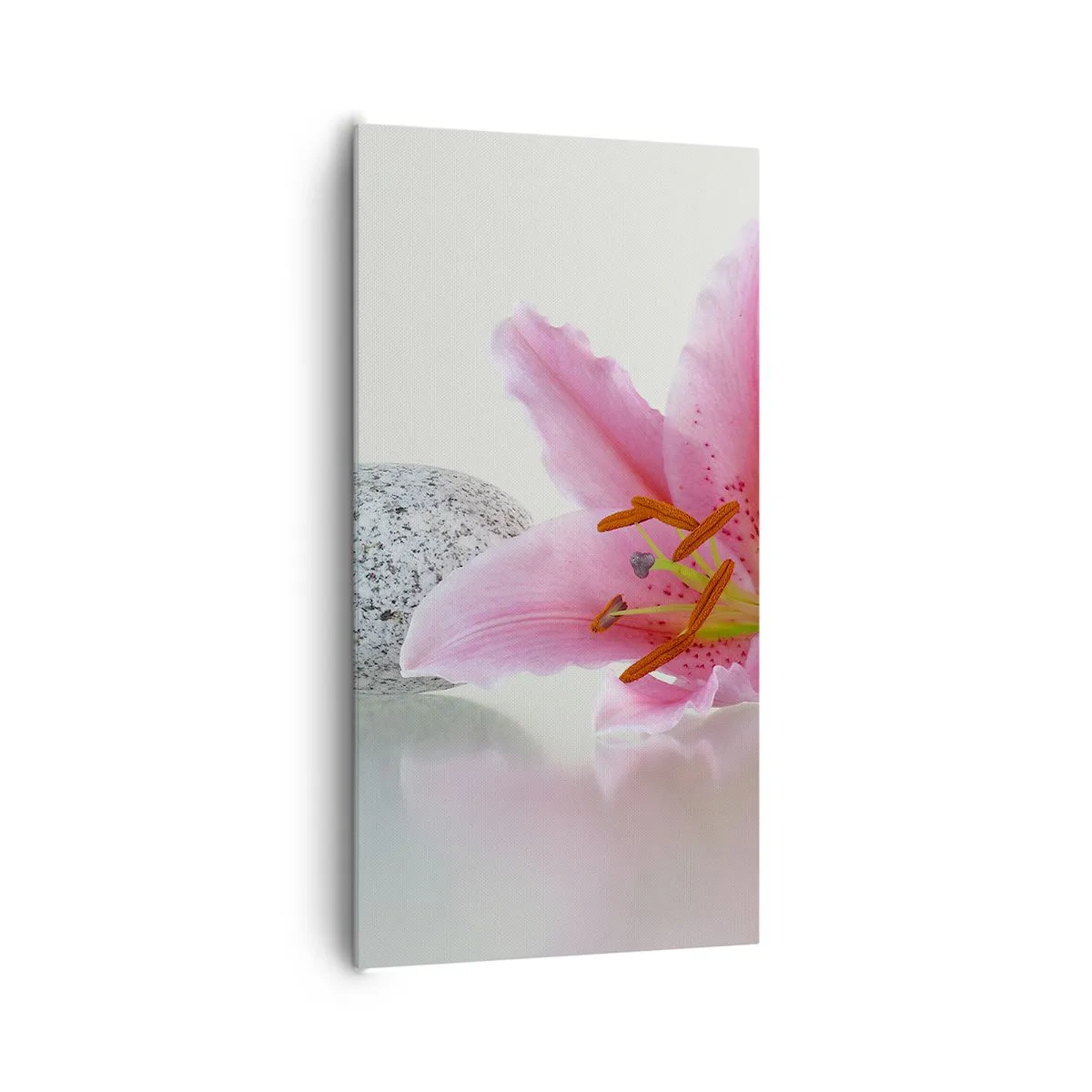 Lærredstryk - Billede på lærred - Et studie i rosa, grå og hvid - 65x120 cm